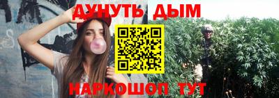 сатива Пенза