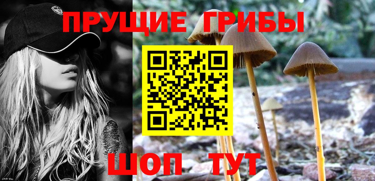 Псилоцибиновые грибы GOLDEN TEACHER  Вход с VPN  Приморско-Ахтарск 