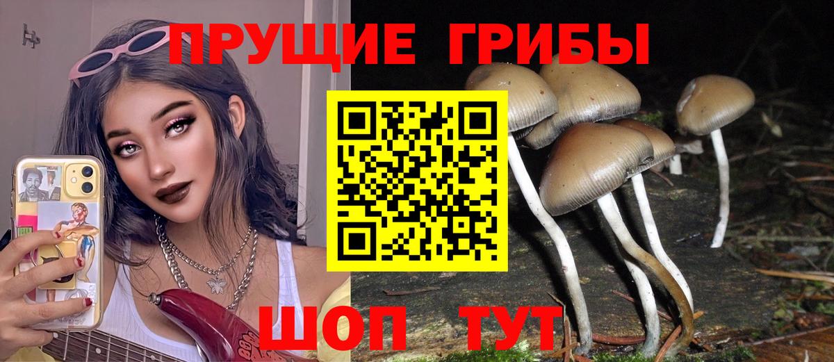 Галлюциногенные грибы прущие грибы Приморско-Ахтарск